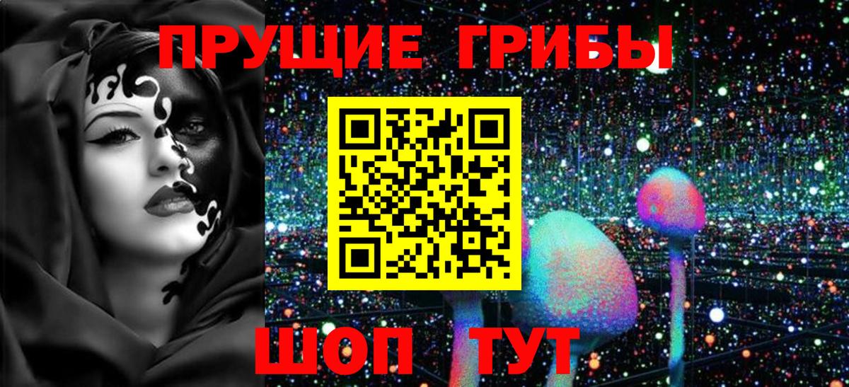 Галлюциногенные грибы Psilocybine cubensis  Вход с VPN  цены   Лениногорск  Галлюциногенные грибы GOLDEN TEACHER 