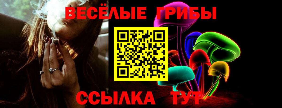 Галлюциногенные грибы Psilocybe Лениногорск